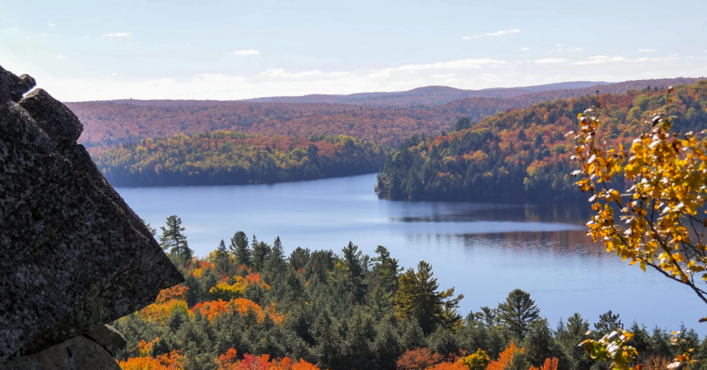 Scenic view of Algonquin Provincial Park with a foreground of rugged rocks, a vast expanse of water surrounded by a dense forest of autumn-hued trees under a clear sky, highlighting the serene and untouched wilderness.